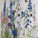 Garden Nature Art Watercolor Painting Botanical Wildflowers by Laurie Rohner.