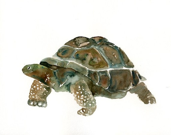 GALAPAGOS TORTOISE Original watercolor painting 10X8inch