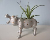 Upcycled Toy Planter - Silver and Gold Polka Dot Hippo with Air Plant