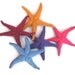 Star fish, sea stars, waldorf toy, waldorf sea creature, all natural toy, eco friendly toy