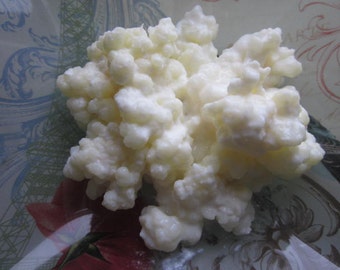 Raw Organic Milk Kefir Grains 2 Heaping Tablespoons Full
