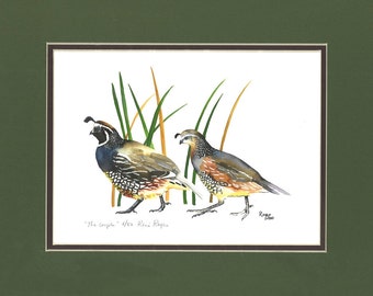 California quail | Etsy