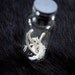 Tiny Tooth Curio Vial - Taxidermy, ATRV32