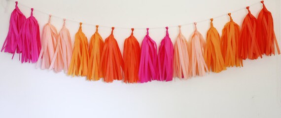 Tissue Tassel Garland Kit - Bright Il_570xn