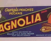 1940s Georgia Fort Valley Peaches Pecans Magnolia Rose Lot Crate Labels NOS