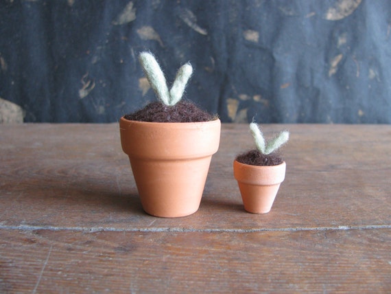 Felted wool seedling in a small terra cotta pot