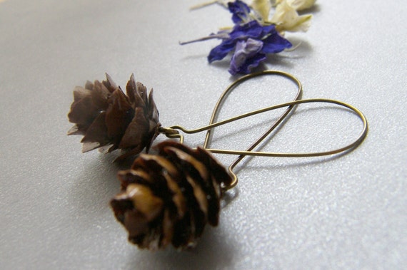 Real miniature pine cone earrings
