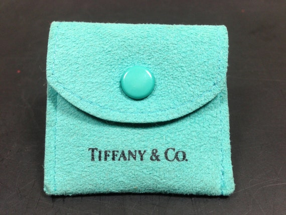 Genuine Suede Tiffany and Co. Blue Snap Pouch w/ Divider & 3M