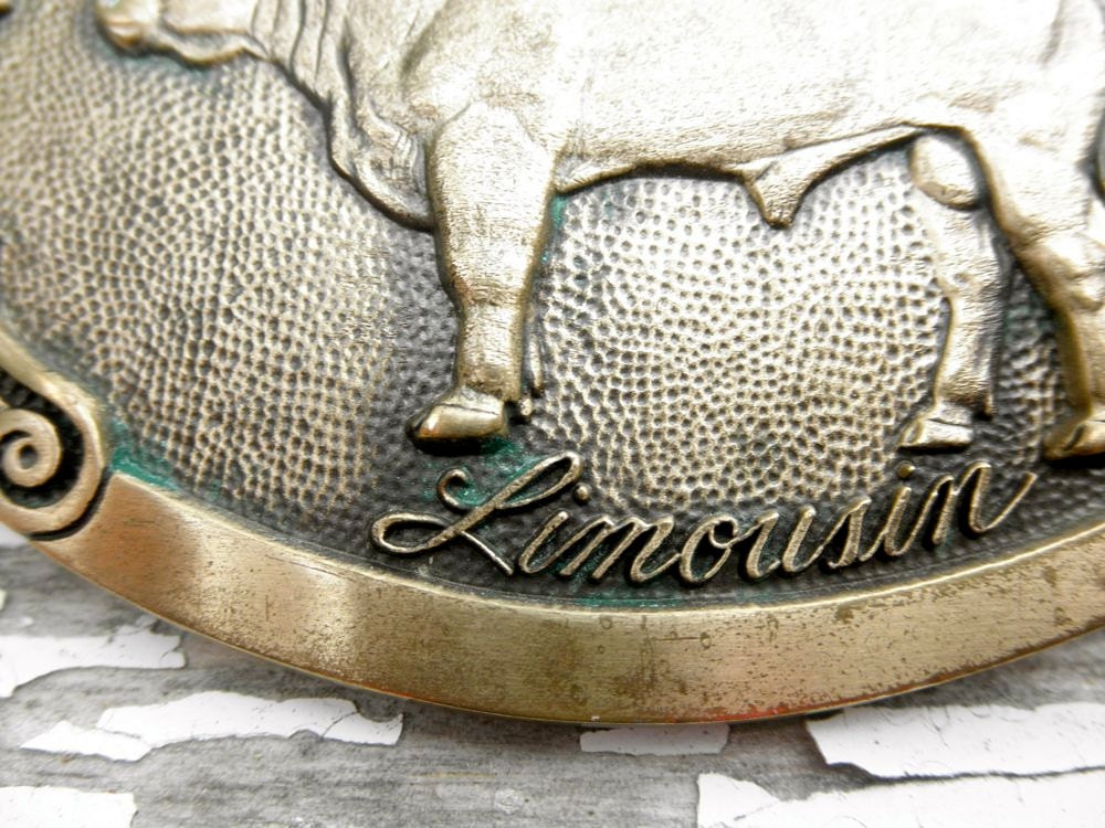 tony lama belt buckle
