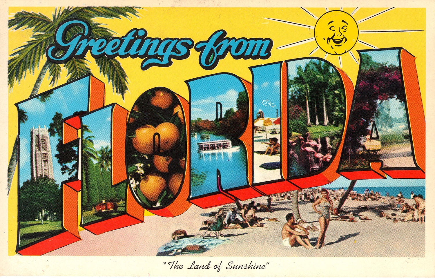 Vintage Florida Postcard Large Letter Postcard Land of