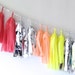 RAINBOW brite Sparkle & Shine Tissue Tassel Garland