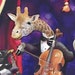 Animal Orchestra Print Illustration 10x8 Fantasy Art