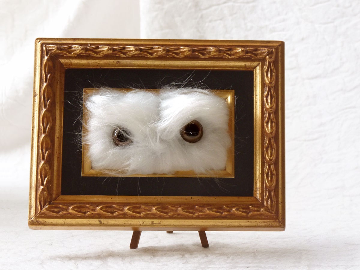 snowy owl taxidermy