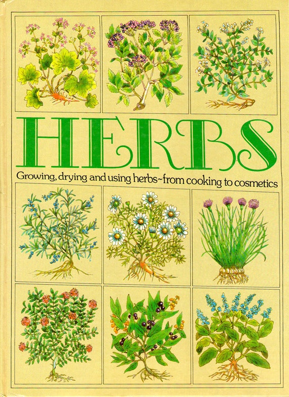 Vintage HERBS book illustrated cooking growing medicinal