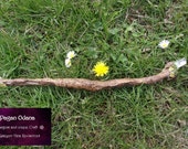 Oak root Fairy wand - Pagan tool - Fairy Kingdom Gate