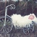 Weathered White Tricycle Infant/Baby Photography Prop