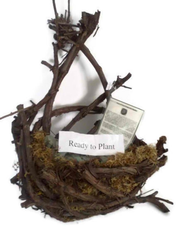 Items similar to Grapevine Wall Basket Planter, grapevine pocket basket