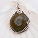 Wire Wrapped Ammonite Pendant, Fossil Necklace, Handmade Jewelry