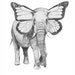 Elefly Drawing - Elephant Butterfly- Print of Original