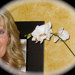 Sandy Boudewyns