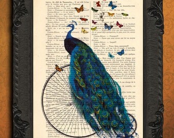Peacock print - Peacock art - peacock illustration
