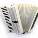 Salanti mother of pearl Accordion with case