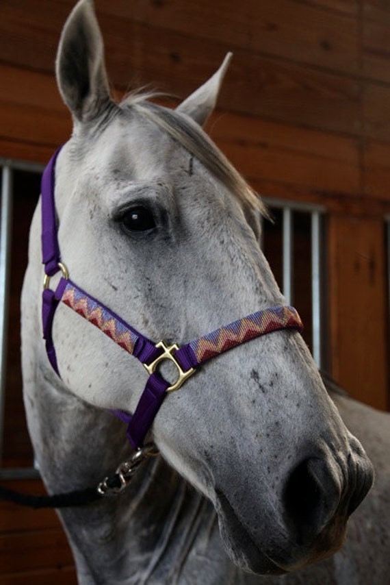 Purple Beaded Horse Halter