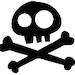 jake and the neverland pirates skull