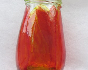 SALE! Tealight lantern: 'Tulip', firey red.