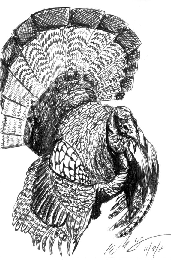 Items similar to 8x10 Wild Turkey Pen Drawing - Hunter Holiday Nature ...