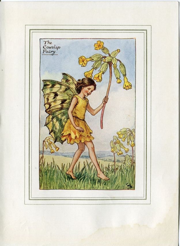 Cowslip Flower Fairy Vintage Print c.1927 Cicely Mary Barker