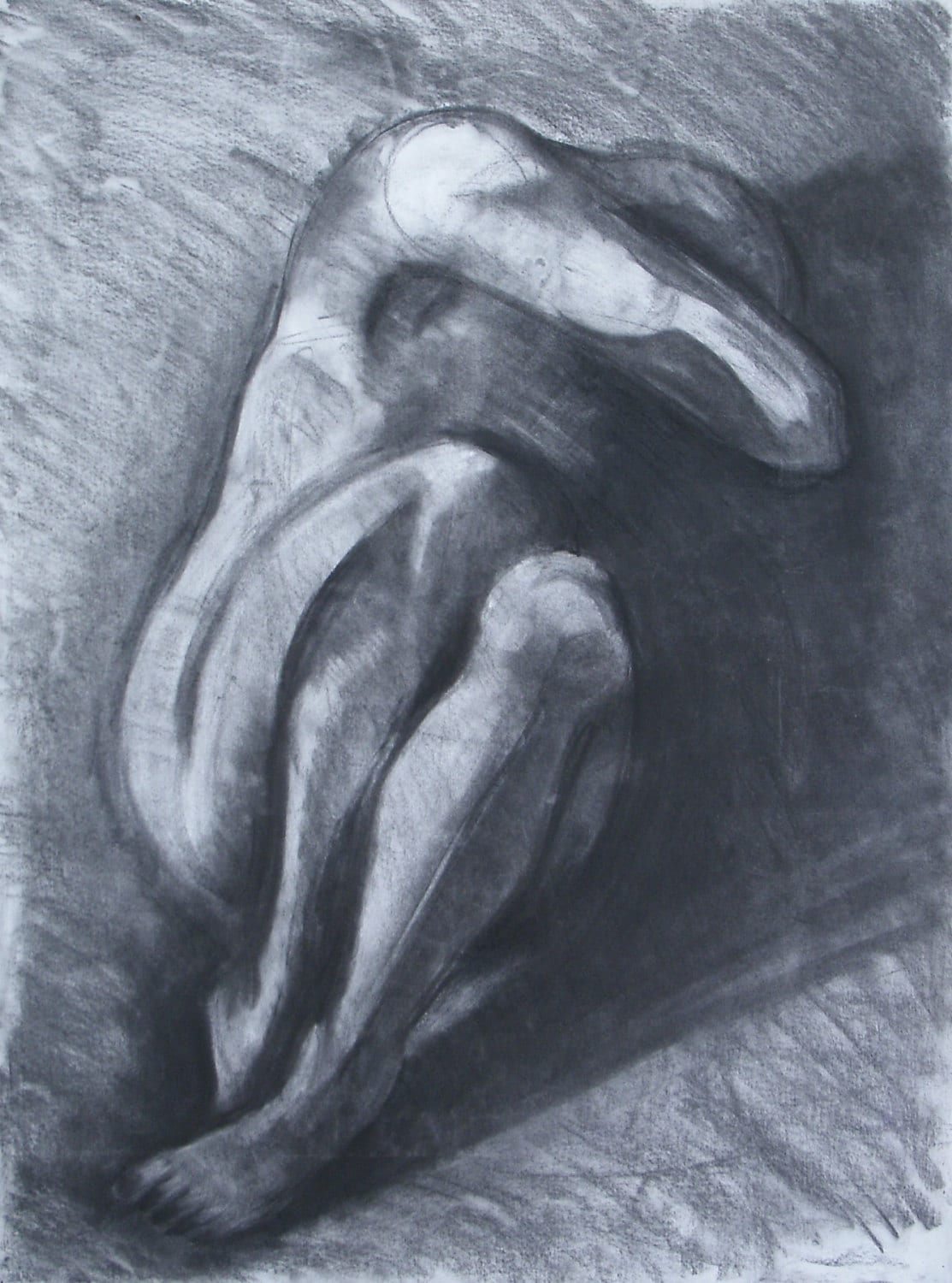 Struggle Charcoal on Paper Figure Drawing