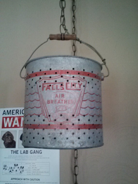 Hanging Minnow Bucket Light