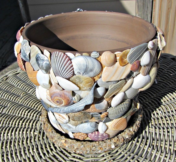 Sea Shell Planter