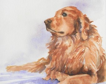 Abu Golden Retriever dog Digital Reproduction Print of Original Artwork by Jonnie J. Baldwin