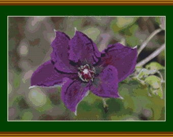 Cross stitch chart "Clematis 3"