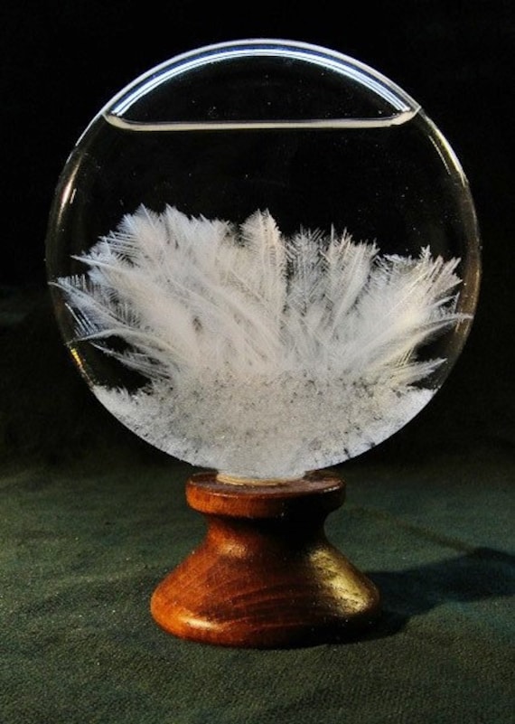 Stormglass Weatherglass Barometer Fitzroy Steampunk