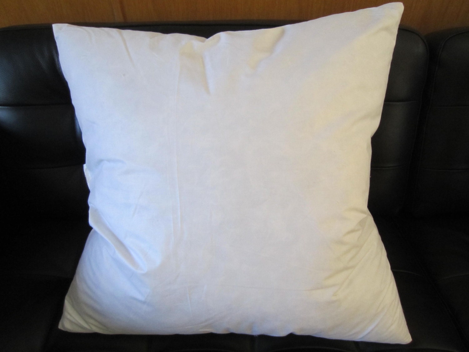 20x20 pillow insert