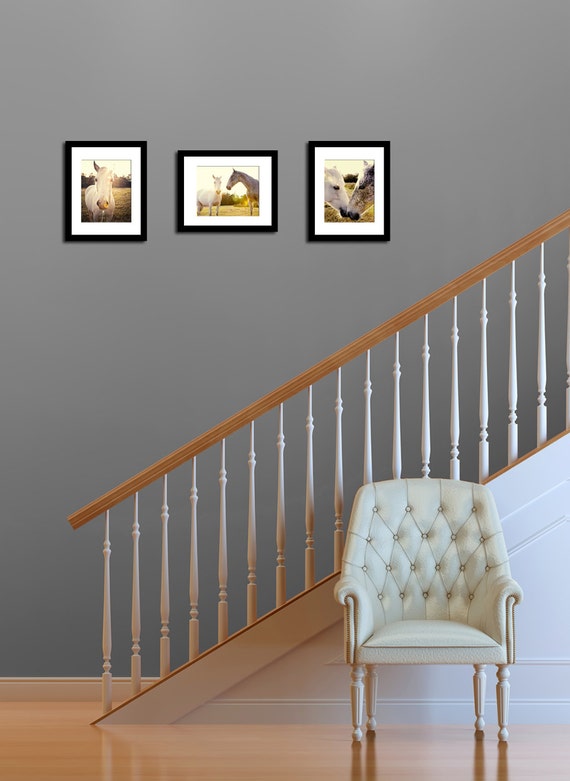 horse photography collection wall art home decor by eireanneilis