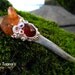 Magic Crystal Wand Deer Antler Talisman Tangerine Quartz Carnelian Celtic Spirals Pagan Wiccan Ritual BELTANE BRIGHT by Spinning Castle