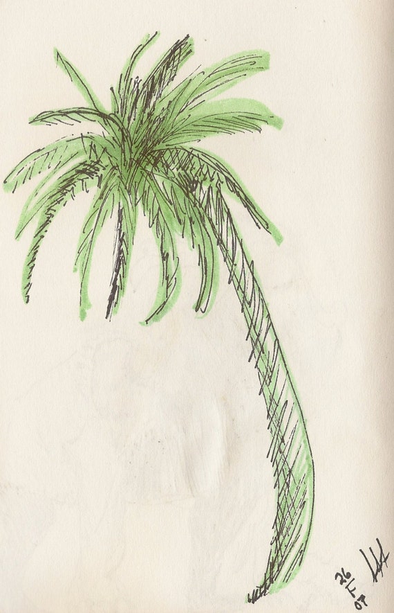 Palm Tree 11 x 17 inches Print of a pen and ink by CitrusMoonArt