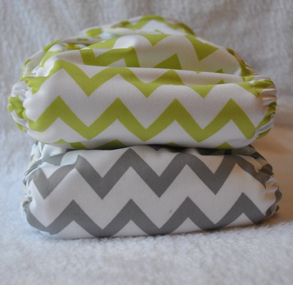 New One Size All-in-Two Cloth Diaper 2 Pack