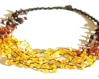Baltic Amber Necklace, Rainbow color necklace