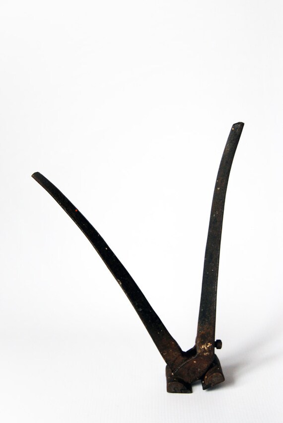 vintage iron horseshoe nail puller