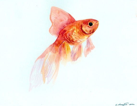 goldfish original watercolor painting 8 X 10