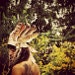 Brittany Leigh Wallace