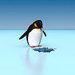 perkypenguin
