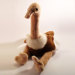 Nice Ostrich