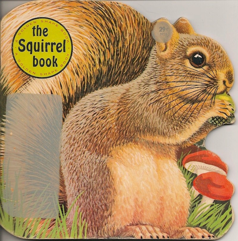 VINTAGE KIDS BOOK The Squirrel Book A Golden Shape Book