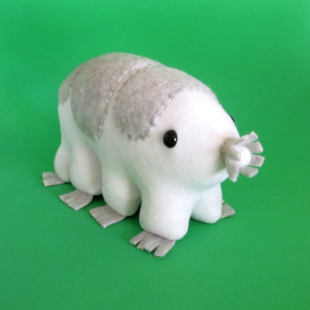 plush tardigrade